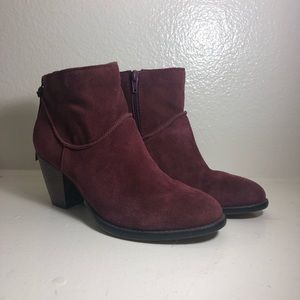 Steve Madden Maroon Booties